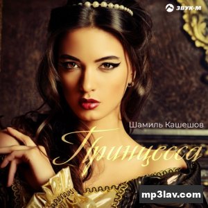Шамиль Кашешов — Принцесса